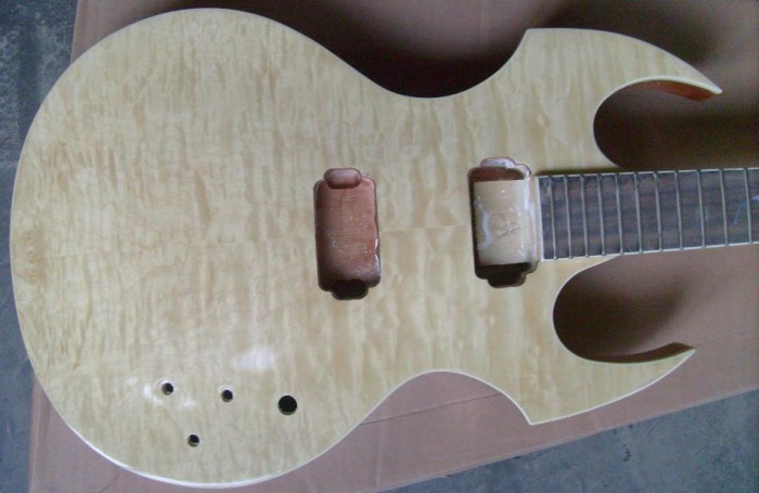 Custom Fireplant Guitars FP-1 Body
